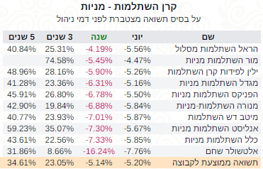 השתלמות מניות שנה תשואה